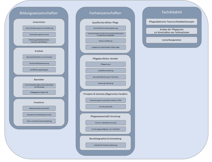 Abbildung 1: Kategorien zur Beschreibung und Bestimmung des Professionswissen (eigene Darstellung)