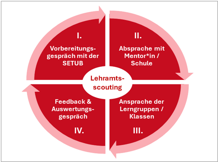 Abbildung 1: Ablauf des Lehramtsscoutings in vier Schritten (eigene Darstellung)